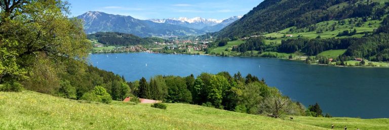 Der Alpsee In Immenstadt Allgäuer Alm 0366